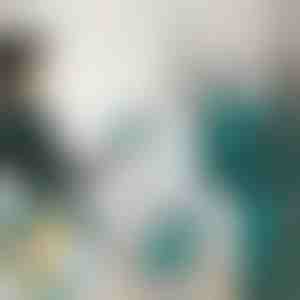 Mini pegla na paru | FERROLITE