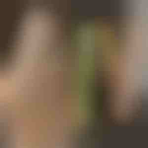 Pegla za ravnanje i uvijanje kose TWISTLINE