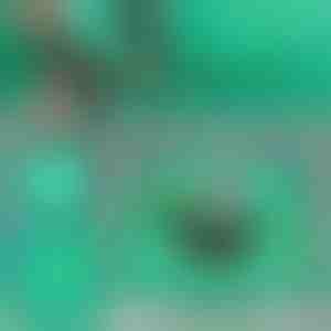 Podloga za presađivanje biljaka | FLORAMAT