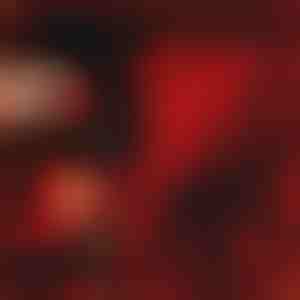 Poklon koji govori ljubav | LOVEBEAR