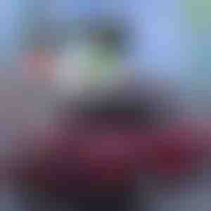 Najbolja letnja zaštita za automobile! | CARCOVER