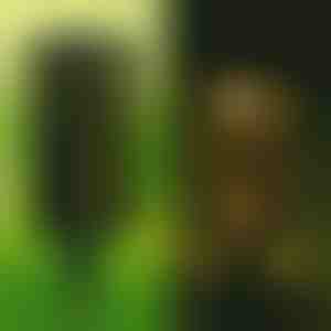 Solarna lampa (set od 2 komada) | GARDENIAS